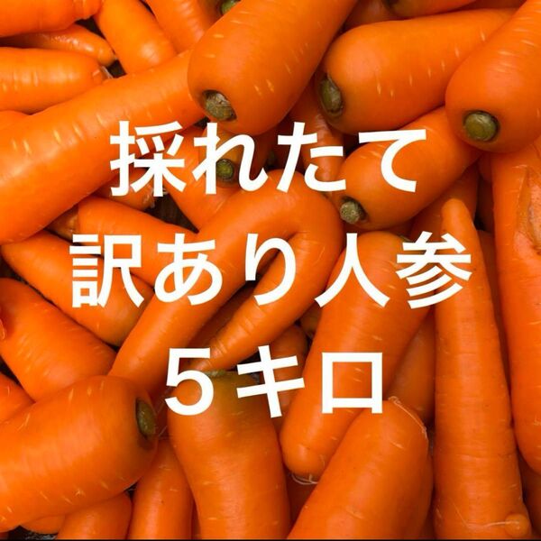 訳あり人参!