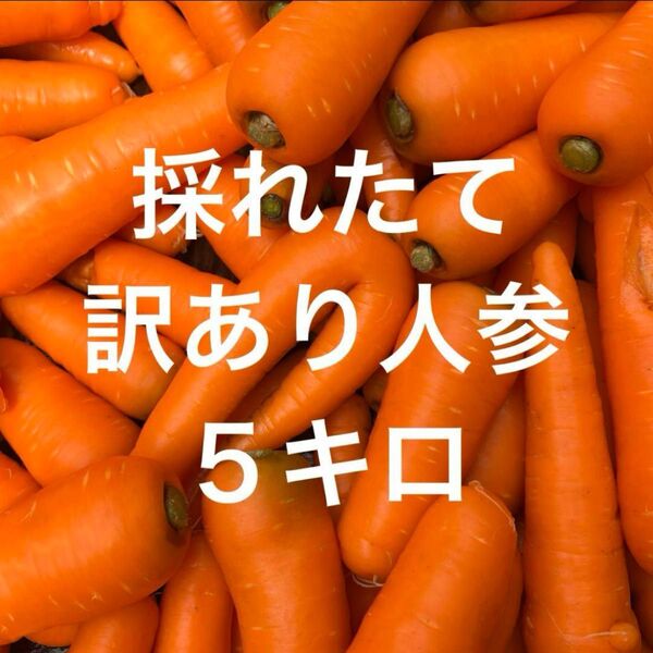 訳あり人参!