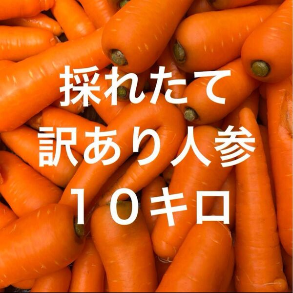 訳あり人参