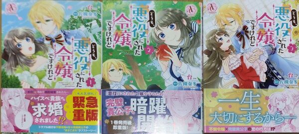 どうも、悪役にされた令嬢ですけれど①②③(Arianrose Comics)