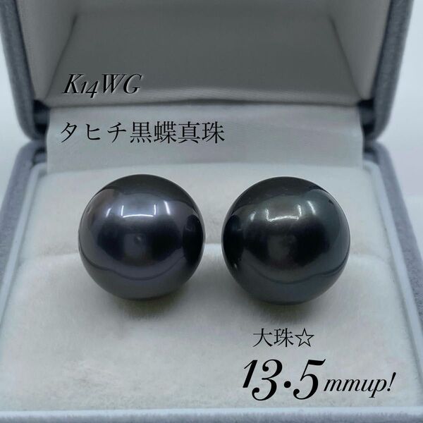 ★新品・未使用★ ラスト!格安!K14WGタヒチ黒蝶真珠13.5mmupピアス!