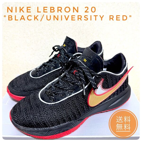 Nike LeBron 20 "Black/University Red" ナイキ スニーカー バスケットボールシューズ 黒