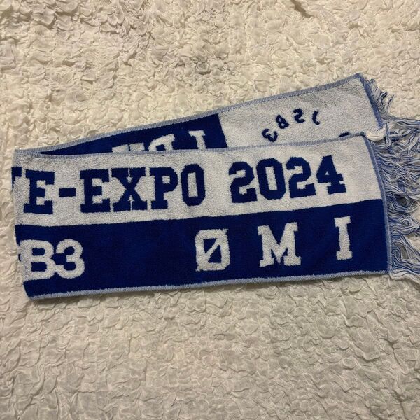 LDH LIVE-EXPO 2024 マフラータオル 登坂広臣