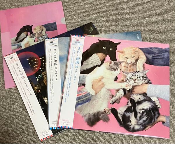 【新品未開封】きのこ帝国 猫とアルルギー 愛のゆくえ タイム・ラプス アナログレコード