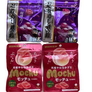 UHA ザクザク忍者めし 鉄の鎧 & モッチュ セット