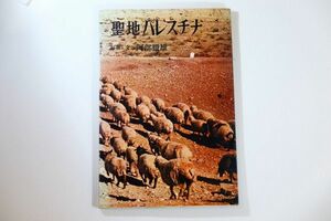 503448イスラエル 「聖地パレスチナ)」阿部徹雄　求竜堂 世界史 A4 ヨルダン 115016