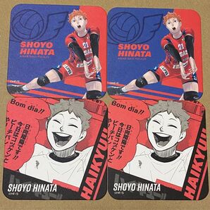 日向 Vリーグ コースター