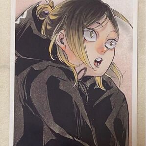 ハイキュー 思い出フォトスナップ 孤爪