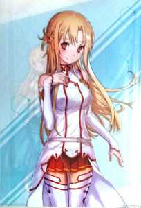  Sword Art * online asna прозрачный файл аниме . есть size-shon нераспечатанный новый товар Dengeki Bunko 