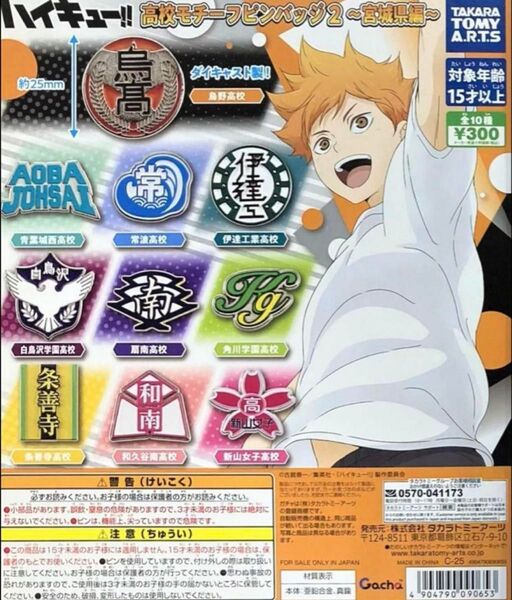 新品未開封 ハイキュー!!高校モチーフピンバッジ2 全種類 コンプリート