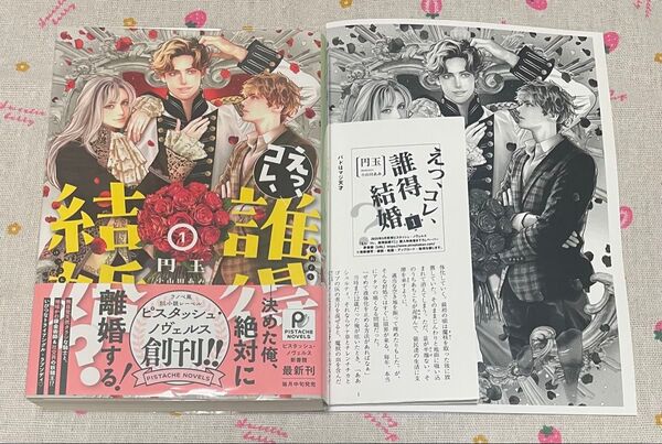 えっ、コレ、誰得結婚? 1 (PISTACHE NOVELS) 円玉/著 アニメイト