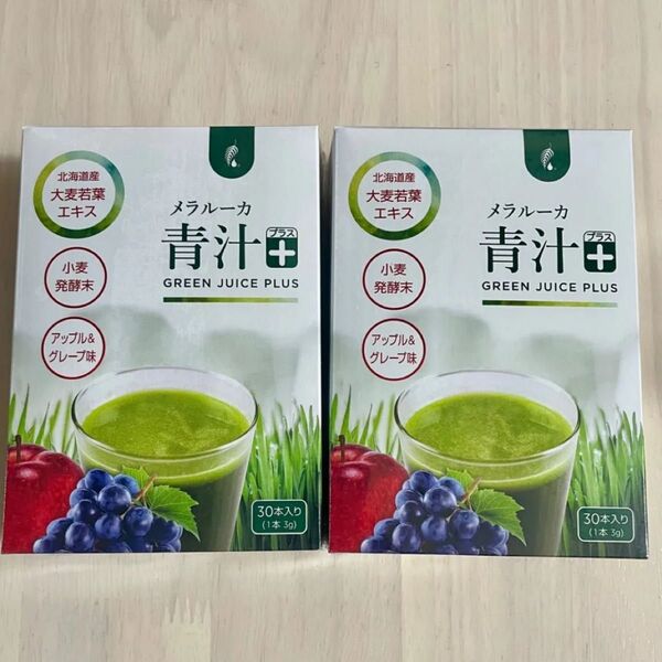 2箱60本【アップル&グレープ味】メラルーカ 青汁プラス 青汁 青汁+ Melaleuca 大麦若葉 オリゴ糖 健康食品 ドリンク