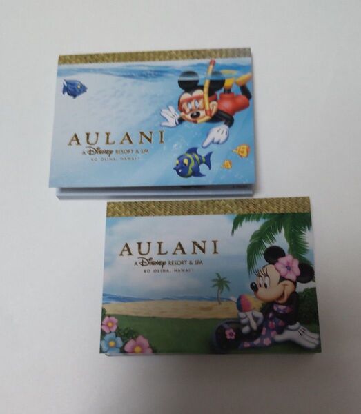 アウラニディズニーリゾートメモ2個セット