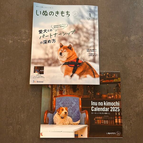 いぬのきもち 2025年1月号 付録 カレンダー