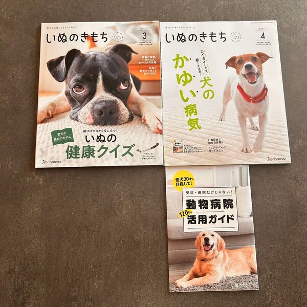 いぬのきもち 2024.3月.4月号+付録ミニ冊子1冊
