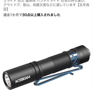 【再値下げ】ACEBEAM pokelit AA 550ルーメン