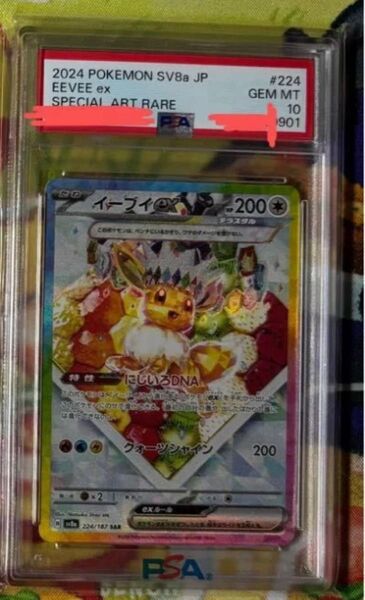 ポケモンカード イーブイex SAR ケーキ PSA10 テラスタルフェスex