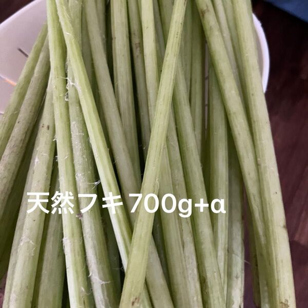 天然フキ 700g+α