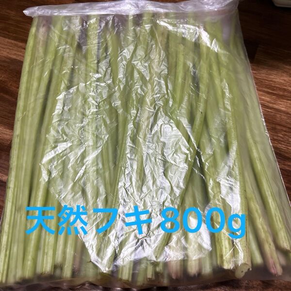 天然フキ 800g