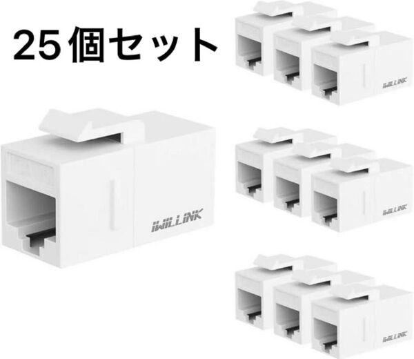 Iwillink RJ45 Cat6 キーストーンカプラー LAN ケーブル用 中継 コネクタ メスからメス Cat6