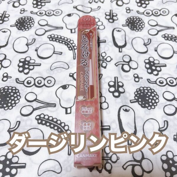 キャンメイク 09 ダージリンピンク アイライナー クリーミータッチライナー