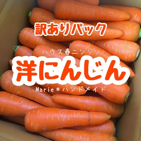 【訳あり】3kg 洋にんじん ハウスニンジン 人参 野菜 産地直送 期間限定