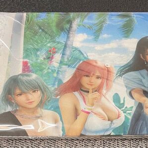 ★新品未開封★Venus Vacation PRISMヴィーナスバケーション プリズム デッドオアアライブ ファブリックポスター