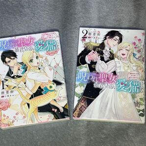 呪われ聖女の救済聖都 1巻&2巻セット