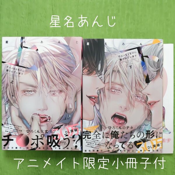 0S015 星名あんじ『グルメなまものに愛されています』㊤㊦ アニメイト限定小冊子付 BLコミックス