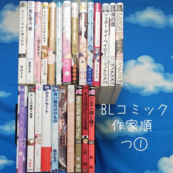 TYT07 BLコミックス 作家順 つ① 24冊 バラ可