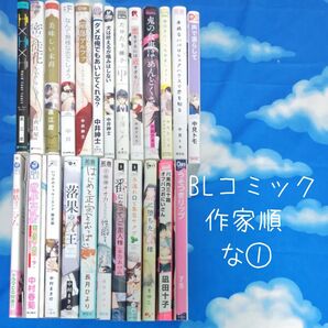 TYN01 BLコミックス 作家順 な① 24冊 バラ可
