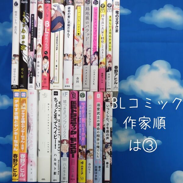 TYH03 BLコミックス 作家順 は③ 24冊 バラ可