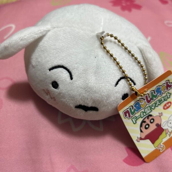 クレヨンしんちゃん ドーム型マスコット しろ キーホルダー