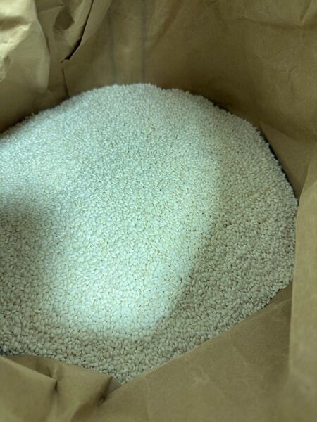 令和6年産 きぬはなもち 30kg もち米