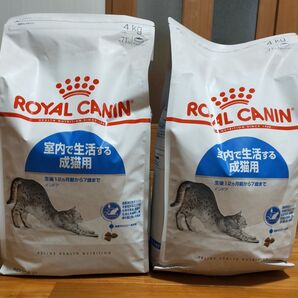 ロイヤルカナン 猫用 インドア 4キロ×2個 未開封