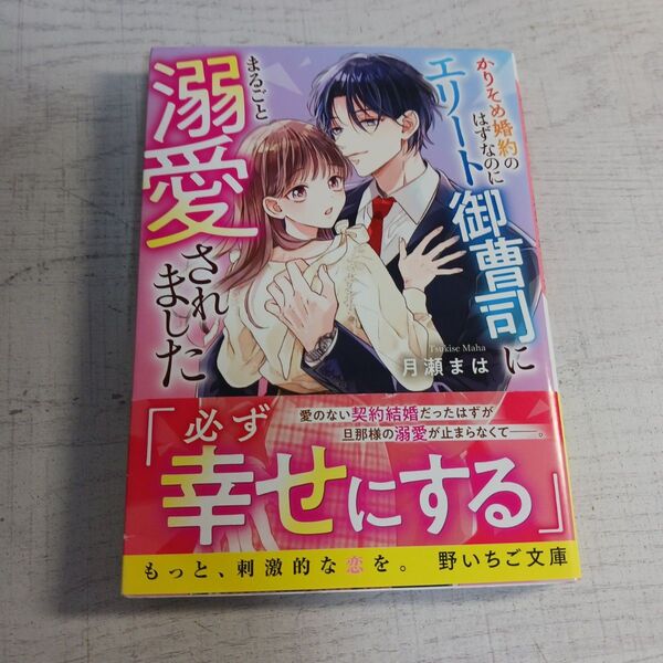 かりそめ婚約のはずなのにエリート御曹司にまるごと溺愛されました (野いちご文庫 Nつ2-1) 月瀬まは/著