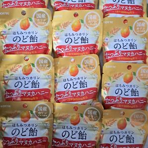 LOTTE はちみつカリンのど飴 12袋 まとめ売り