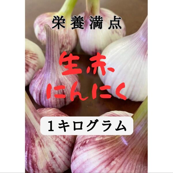 農薬不使用 採れたて 生にんにく 葉にんにく 新ニンニク 大蒜1kg 健康野菜