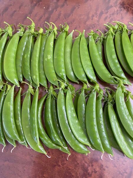 農薬不使用 極甘スナップえんどう 200g