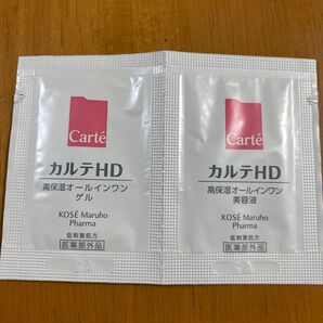 カルテHD サンプル