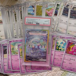 ポケモンカード ステラミラクル PSA10テラパゴスex SAR&UR