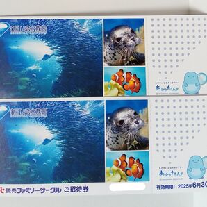 新江ノ島水族館 2枚 ご招待券 即日発送