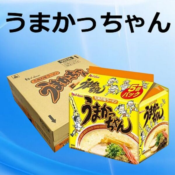 新品 〔食〕うまかっちゃん 定番 6個30食