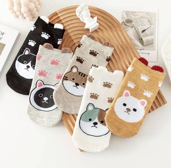 5足組 かわいい動物キャラクター靴下 レディース まとめ売り