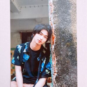 横浜流星 生写真