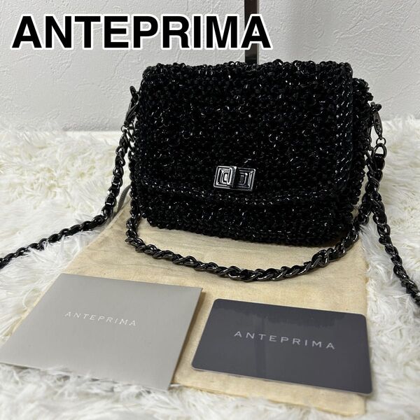 【希少】ANTEPRIMA ルッケット ミニ 黒 ダブルチェーン ワイヤーコード ブラック 斜め掛け 2way アンテプリマ