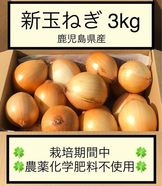 新玉ねぎ 七宝 3kg 栽培期間中農薬化学肥料不使用