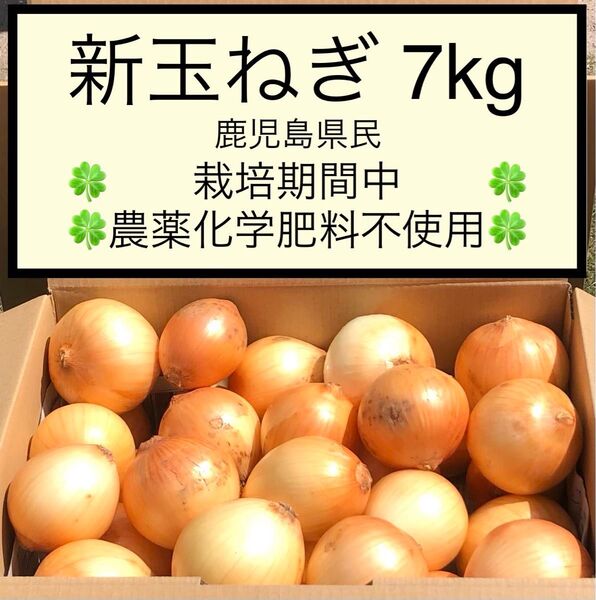 新玉ねぎ 七宝 7kg 栽培期間中農薬化学肥料不使用