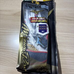 ミズノプロ シリコンパワーアーク 25センチ バッティング手袋