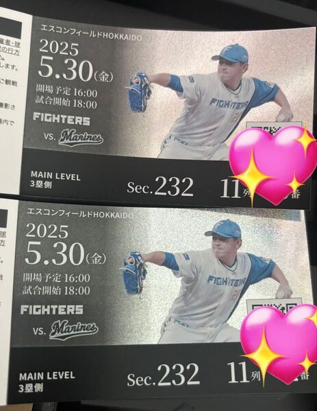 日本ハムvsロッテ エスコンフィールド北海道 チケット